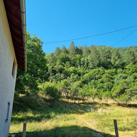 Apartman „Skobic” Višegrad Extérieur photo